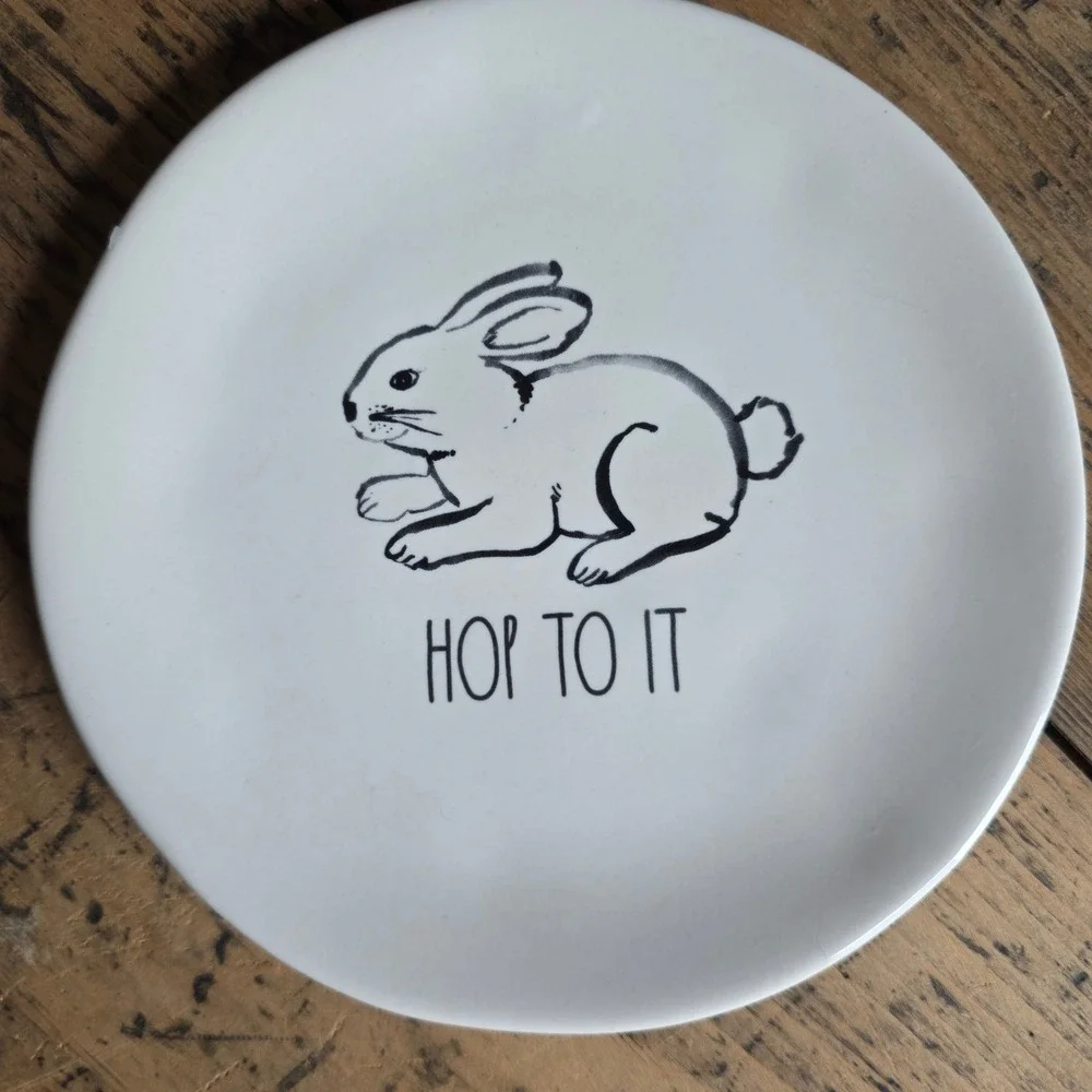 RAE DUNN Easter Appetizer Plates Set of 4 Bunny Chick Egg Carrot White‎ 6in Dish